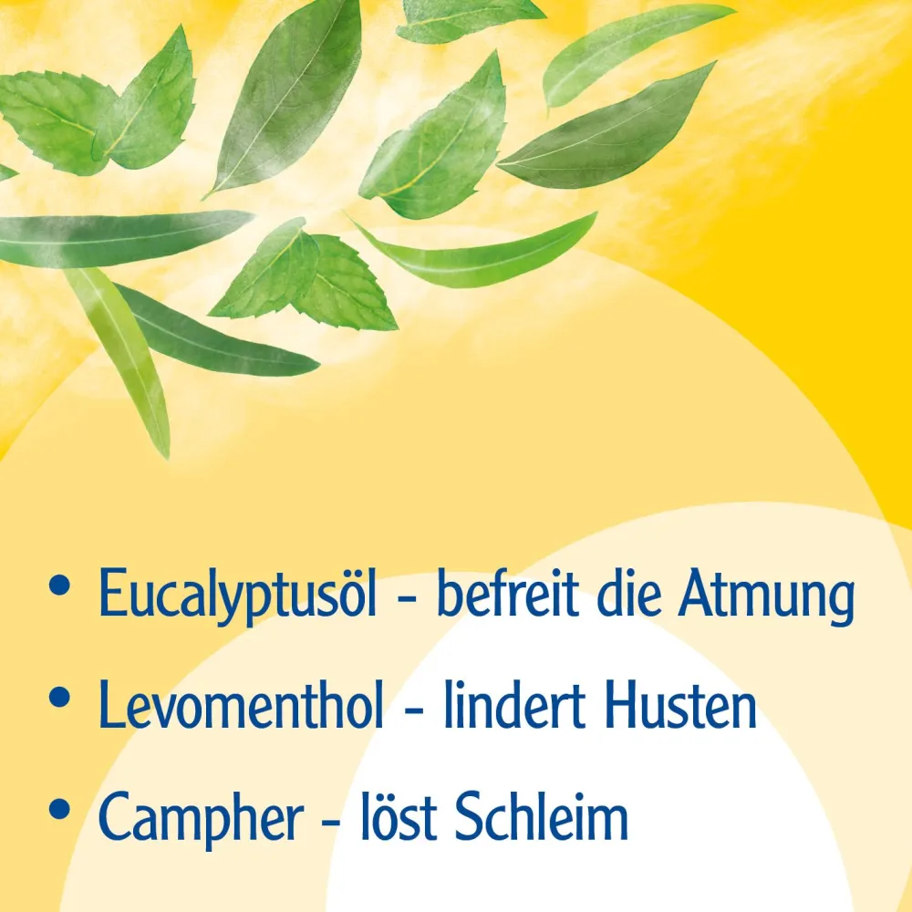 ® Erkältungsbad ab 12 Jahren - mit Eucalyptusöl, Menthol und Campher>Pinimenthol Discount