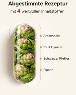 ® Artischocken Kapseln - 100:1 Artischocken-Extrakt mit 113mg Cynarin pro Kapsel|plantomol Discount