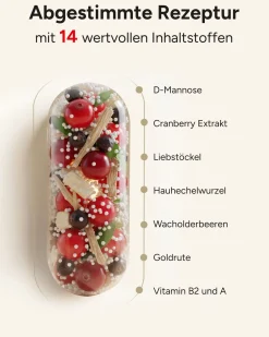 ® Cranberry Kapseln mit D-Mannose Goldrute & Bärentraubenblätter - Blasenwohl><noscript><img width=
