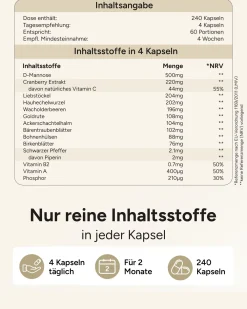 ® Cranberry Kapseln mit D-Mannose Goldrute & Bärentraubenblätter - Blasenwohl><noscript><img width=