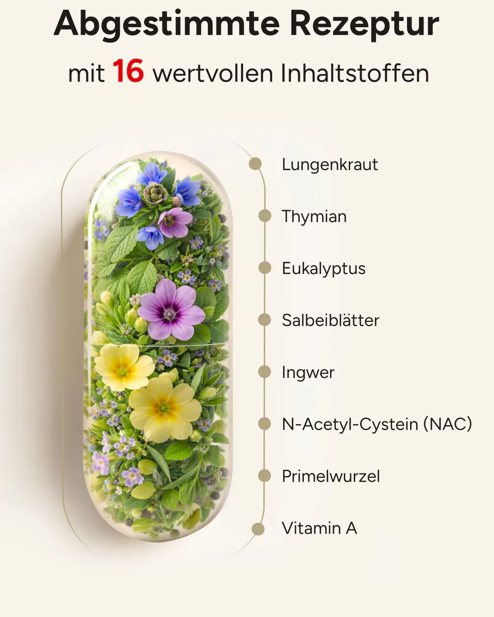 ® Lungenkraut PLUS Kapseln - 16-fach Komplex mit Lungwort Malvenblättern Thymian & mehr|plantomol Online