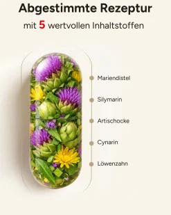 plantomol® Mariendistel Kapseln mit Artischocke & Löwenzahn|