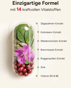 ® Prostata Komplex mit Kürbiskern Sägepalme Weidenröschen und 11 Weiteren - Prosta PLUS><noscript><img width=