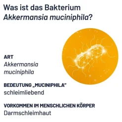 ProBio-Cult AKK1 Darm-Mukosa Pro mit 30 Mrd. pasteurisierten Akkermansia MucT®><noscript><img width=