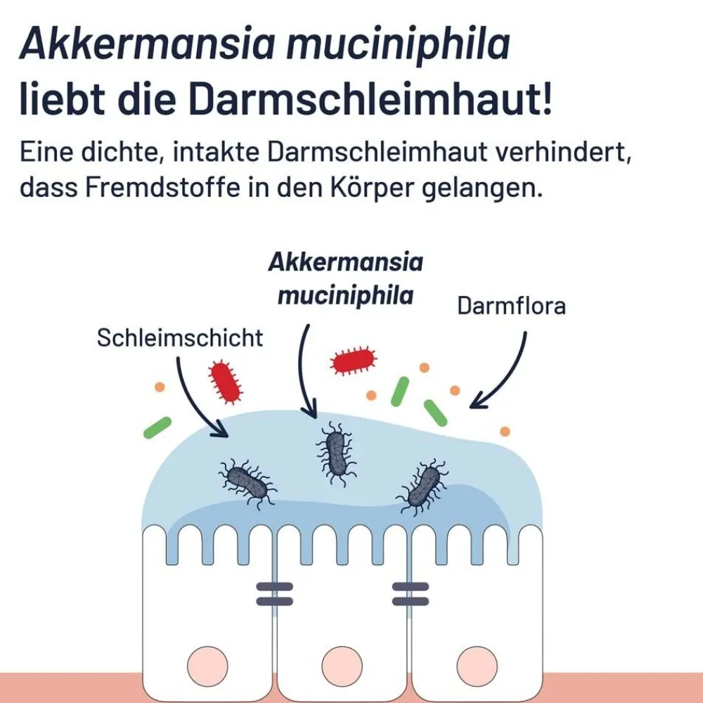 ProBio-Cult AKK1 Darm-Mukosa Pro mit 30 Mrd. pasteurisierten Akkermansia MucT®> Online