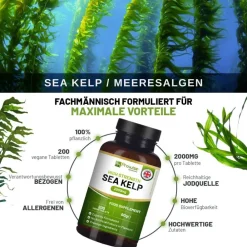 Prowise Healthcare Meeresalgen 2000 mg – Natürliche Jodquelle| Hot