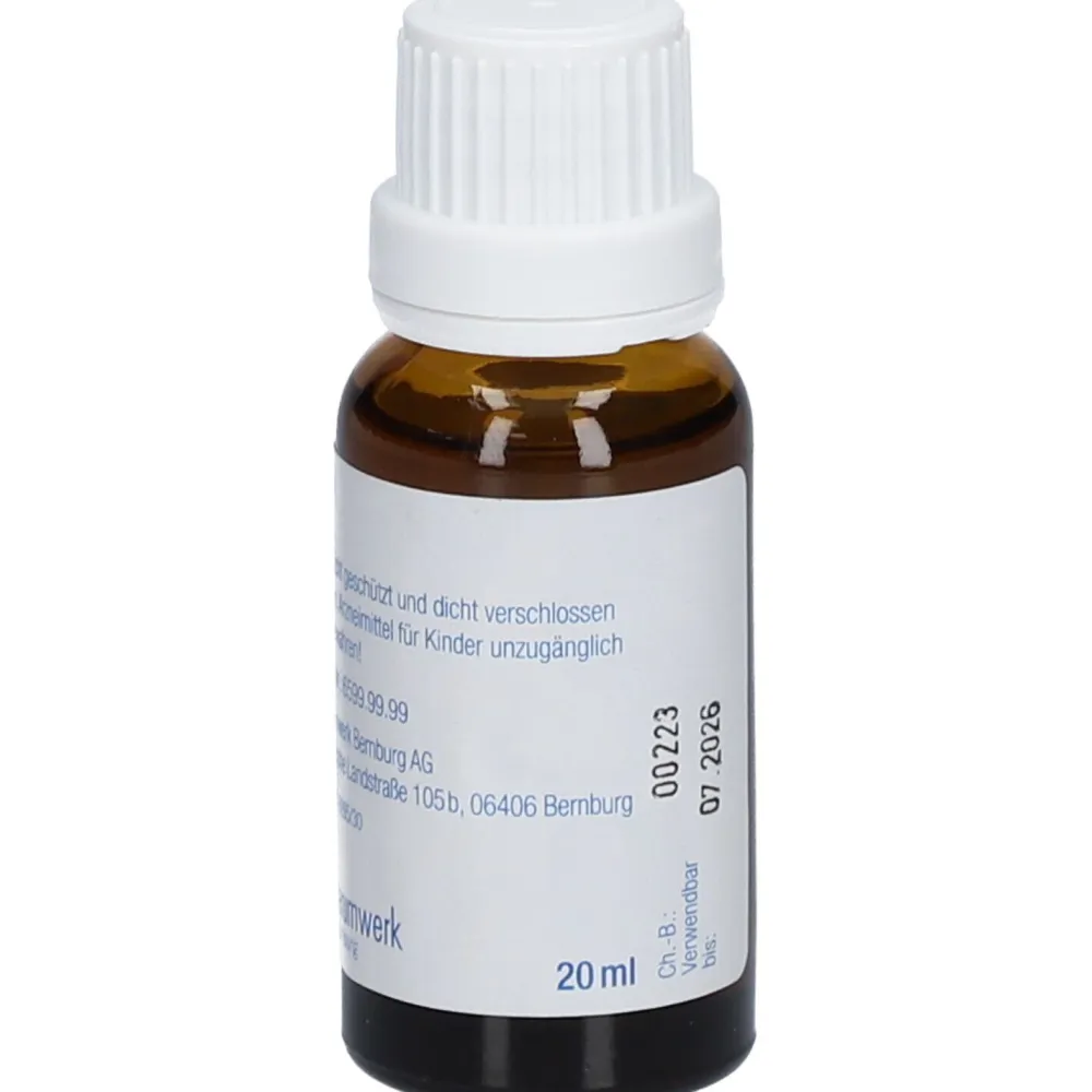 Pulmotin® Erkältungstropfen 3plus> Clearance