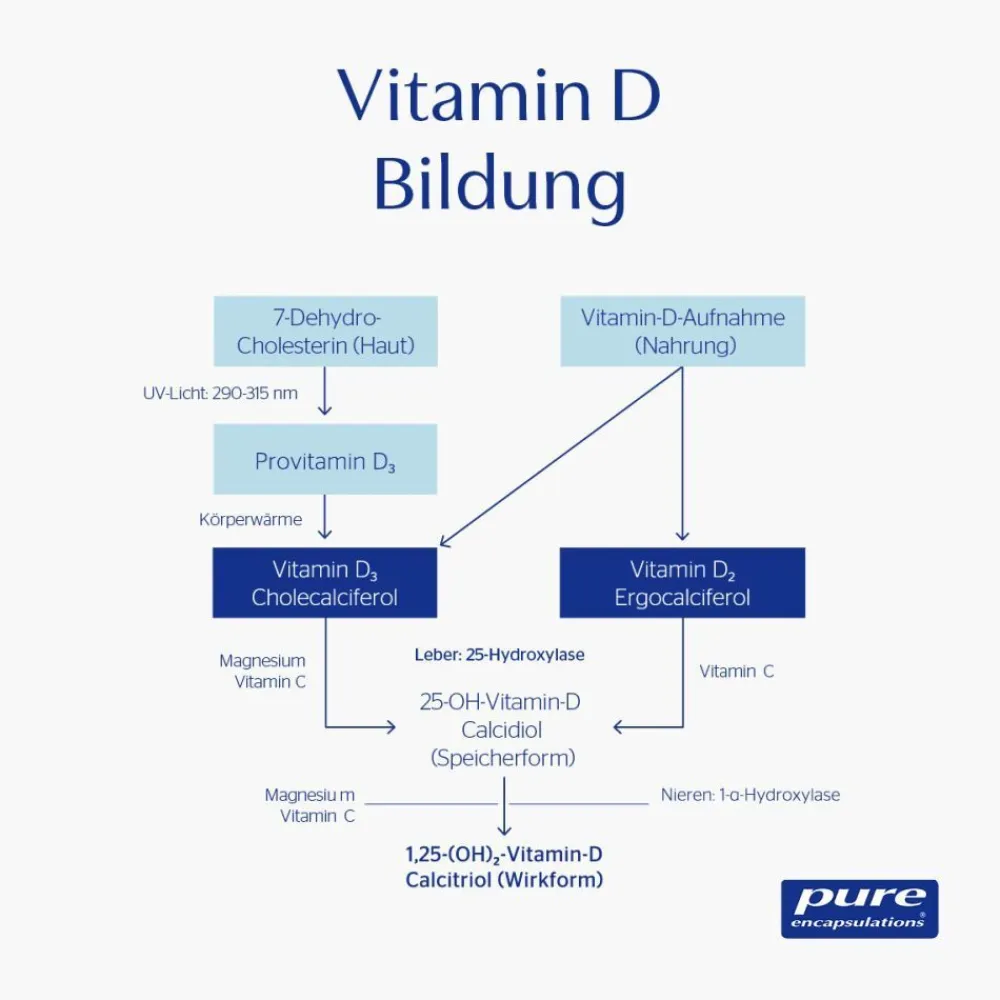 ® Vitamin D3 liquid|Pure Encapsulations New