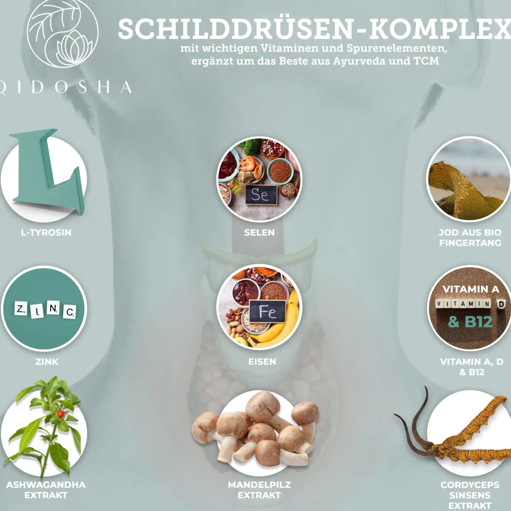 SHIELD Schilddrüsen Komplex|QIDOSHA Best