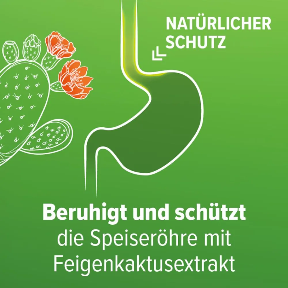 Refluthin® bei Sodbrennen - Fruchtgeschmack - Schnelle Hilfe bei Reflux - Schützt die Speiseröhre - gut verträglich - Jetzt 20% mit dem Code schwabe20 sparen*> Hot