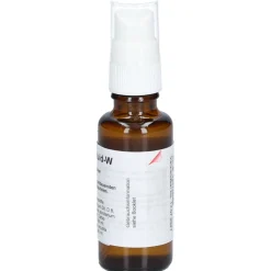 Haut-Fluid W><noscript><img width=