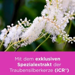 bei Wechseljahresbeschwerden|remifemin New