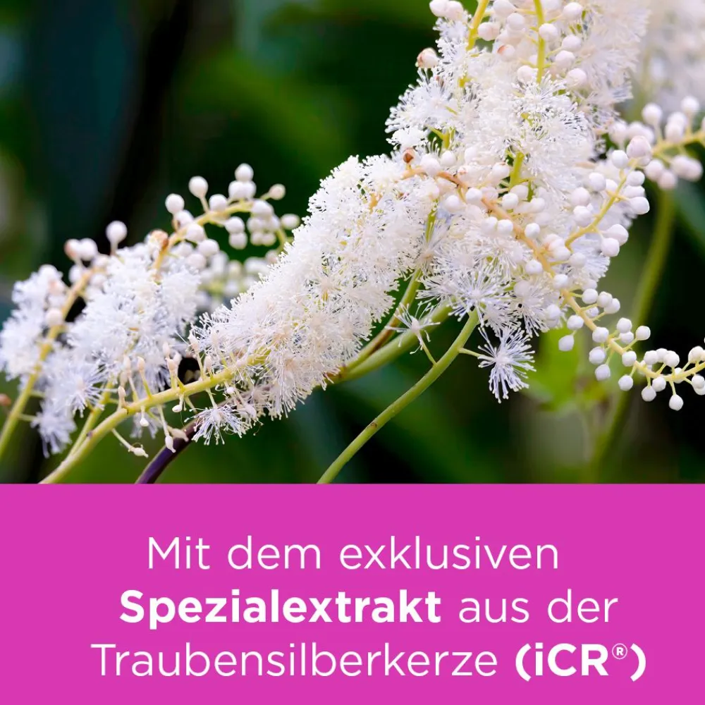 mono bei Wechseljahresbeschwerden>remifemin Outlet