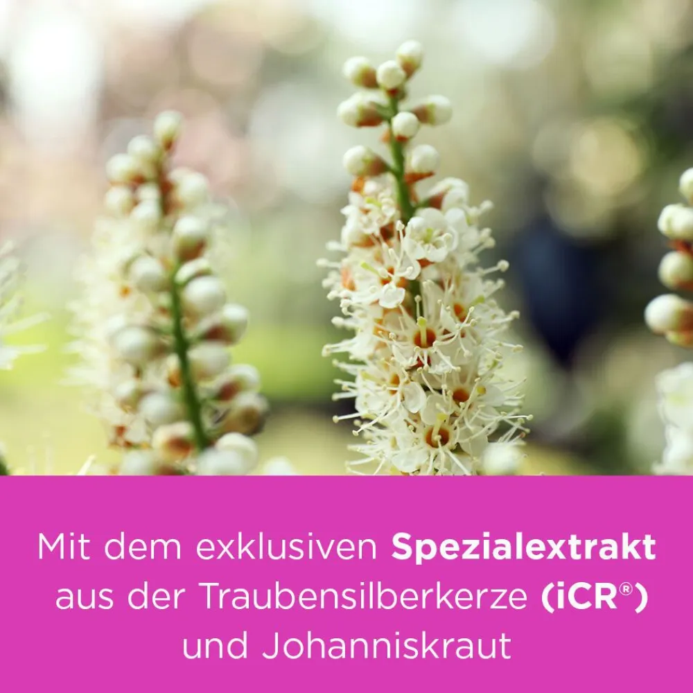 plus Johanniskraut bei Wechseljahresbeschwerden>remifemin Sale