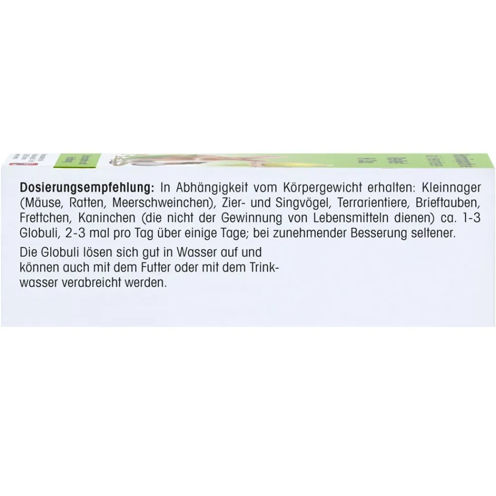 ReVet H 6 Durchfall| Sale