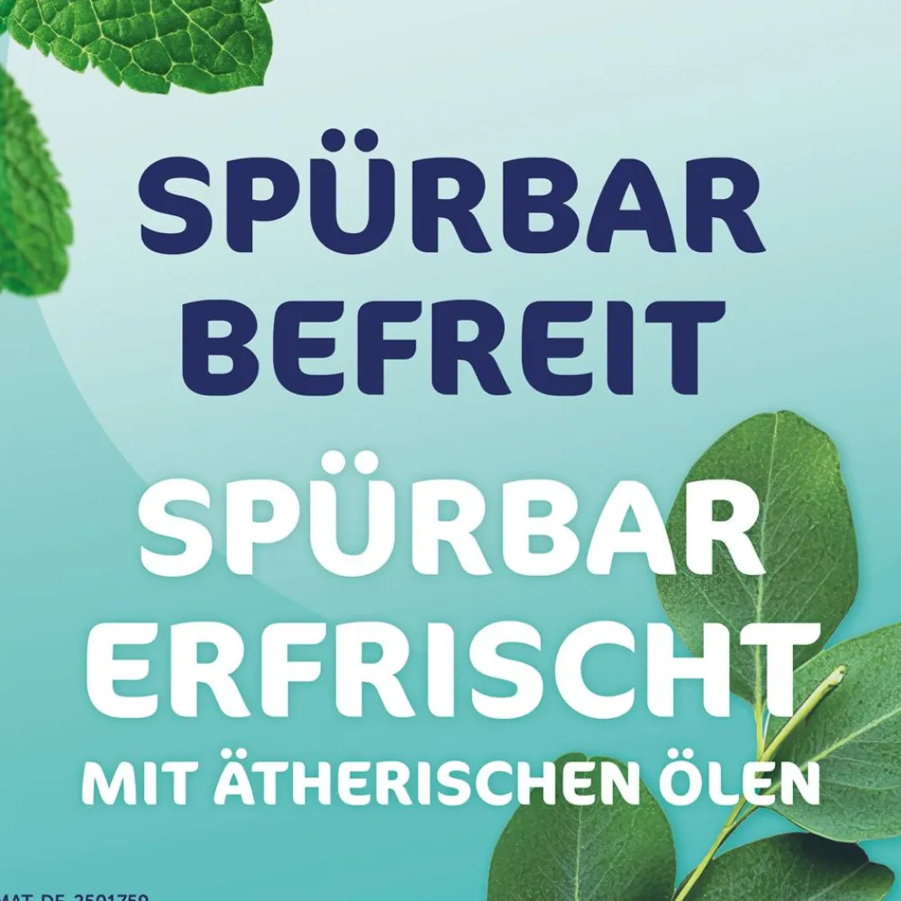 Rhinospray plus 4x 10ml I schnelle Hilfe bei Schnupfen I befreit bis zu 10 Stunden wirksam> New