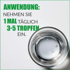 ® Leber + Drops | Ihre natürliche Ergänzung><noscript><img width=