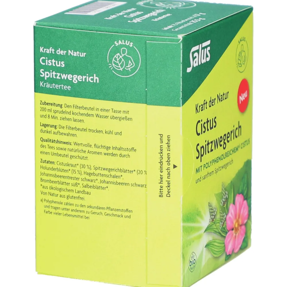 ® CISTUS SPITZWEGERICH Tee Bio Filterbeutel|Salus New
