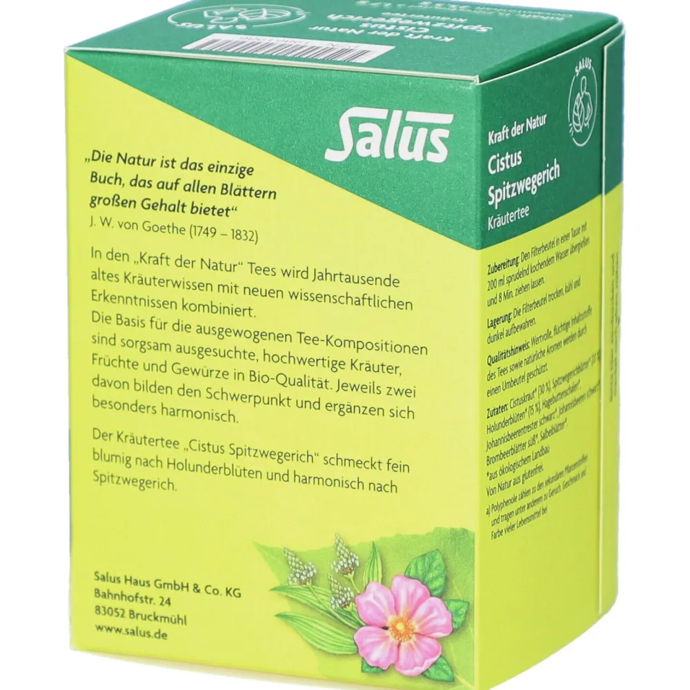 ® CISTUS SPITZWEGERICH Tee Bio Filterbeutel|Salus New