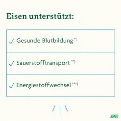 ® Floradix® Eisen plus B12 vegan><noscript><img width=