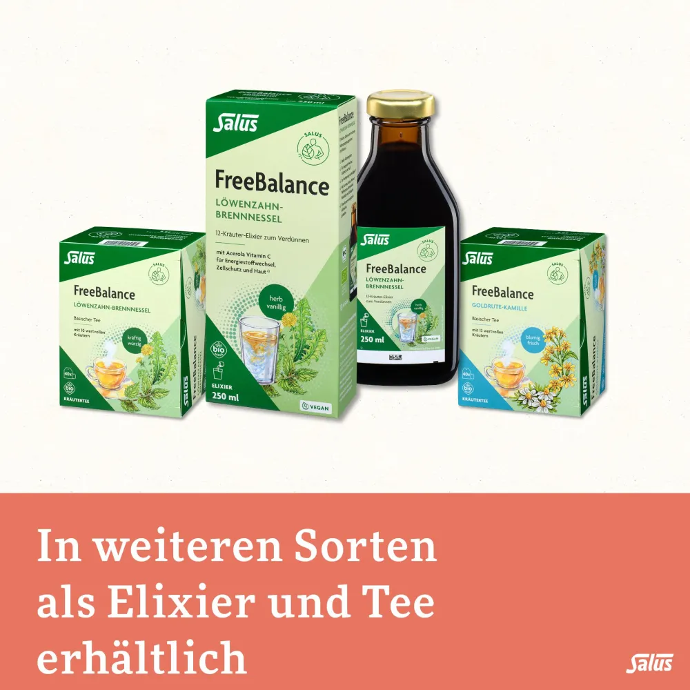 FreeBalance Gerstengras-Birke Basischer Tee>Salus Online