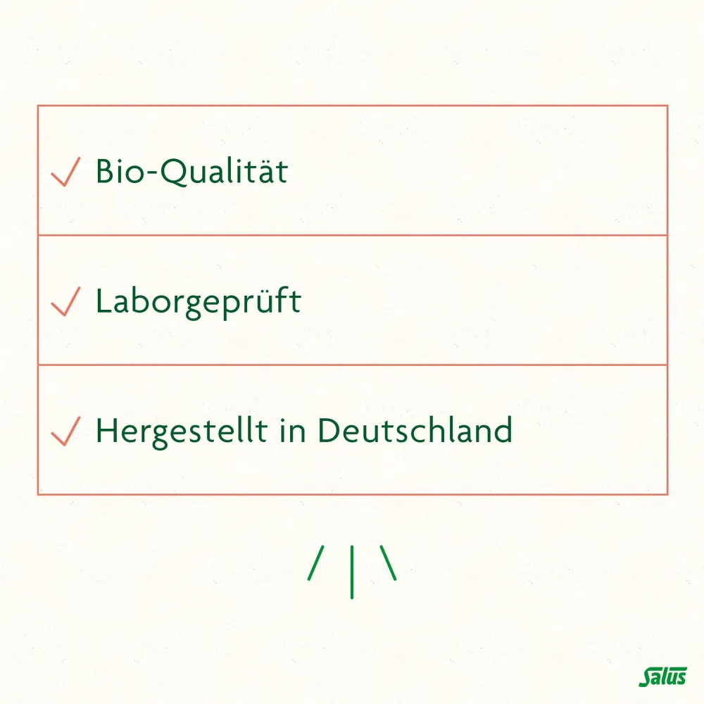 FreeBalance Gerstengras-Birke Basischer Tee>Salus Online