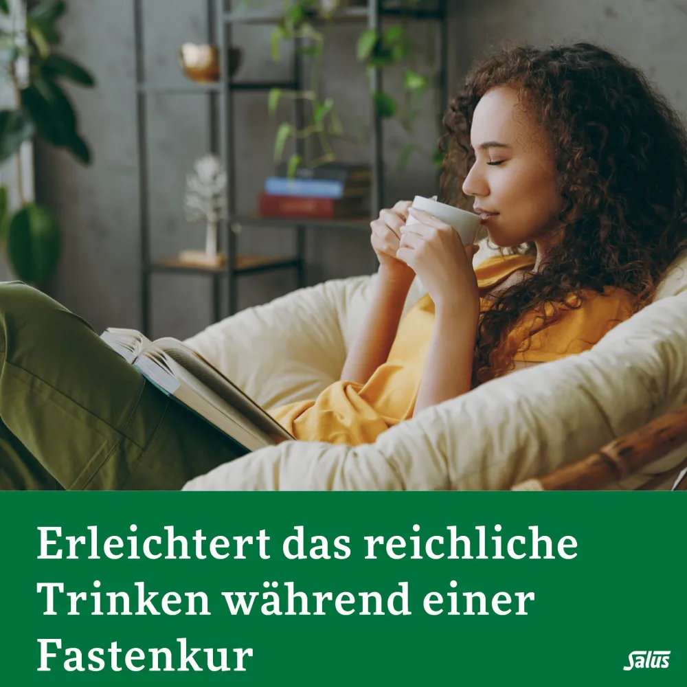 FreeBalance Löwenzahn-Brennnessel Basischer Tee>Salus Sale
