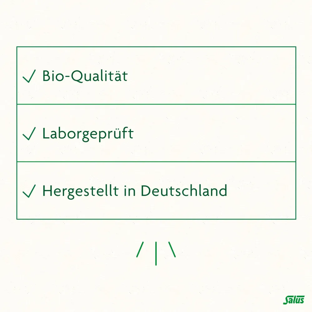 FreeBalance Löwenzahn-Brennnessel Basischer Tee>Salus Sale