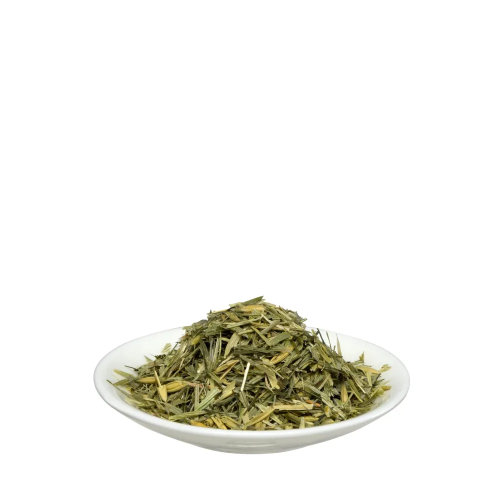 Grüner Hafer>Salus Discount