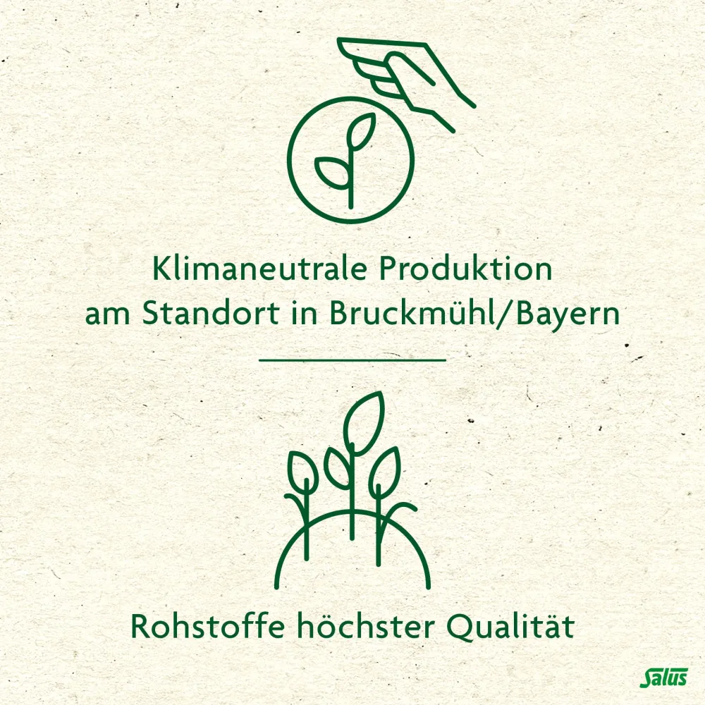 ® Ingwer Gewürztee|Salus Discount