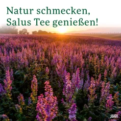 ® Lapacho Tee|Salus Best