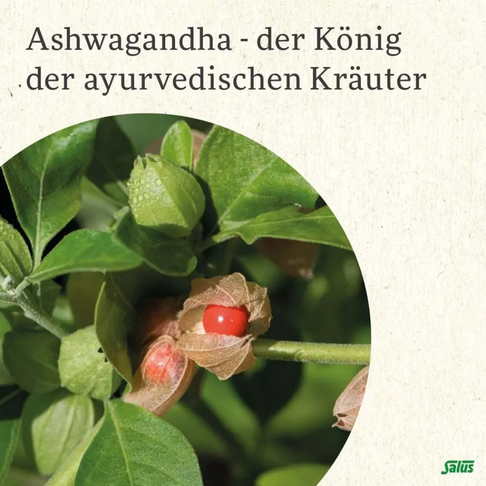 ® Neuro Balance Ashwagandha Bio Tonikum|Salus Outlet