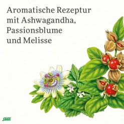 ® Neuro Balance Ashwagandha Tee|Salus Outlet