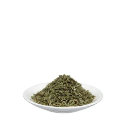 ® Zinnkraut|Salus New