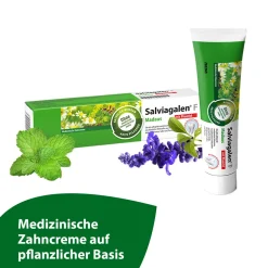 F Madaus - Medizinische Zahnpasta mit Fluorid>Salviagalen Discount