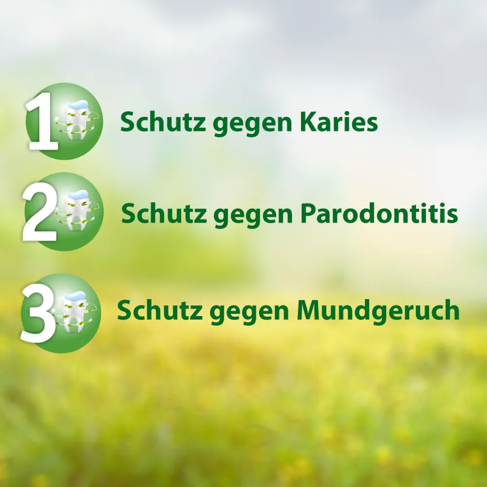 Madaus - Medizinische Zahnpasta ohne Fluorid>Salviagalen Hot
