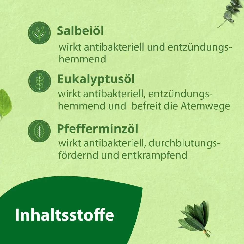 Madaus - Medizinische Zahnpasta ohne Fluorid>Salviagalen Hot