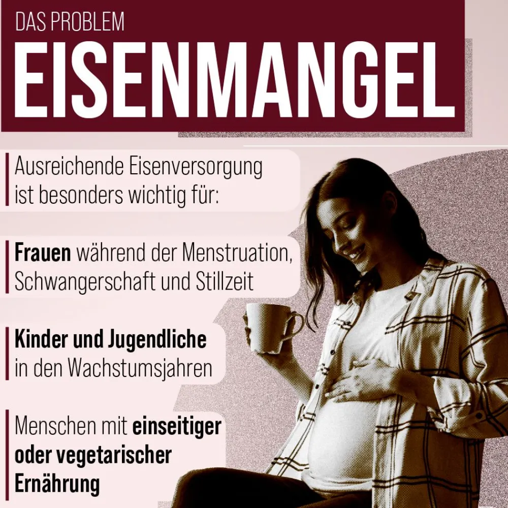 Blutfit Eisen-Elixier>Sanct Bernhard New