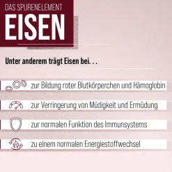 Blutfit Eisen-Elixier><noscript><img width=