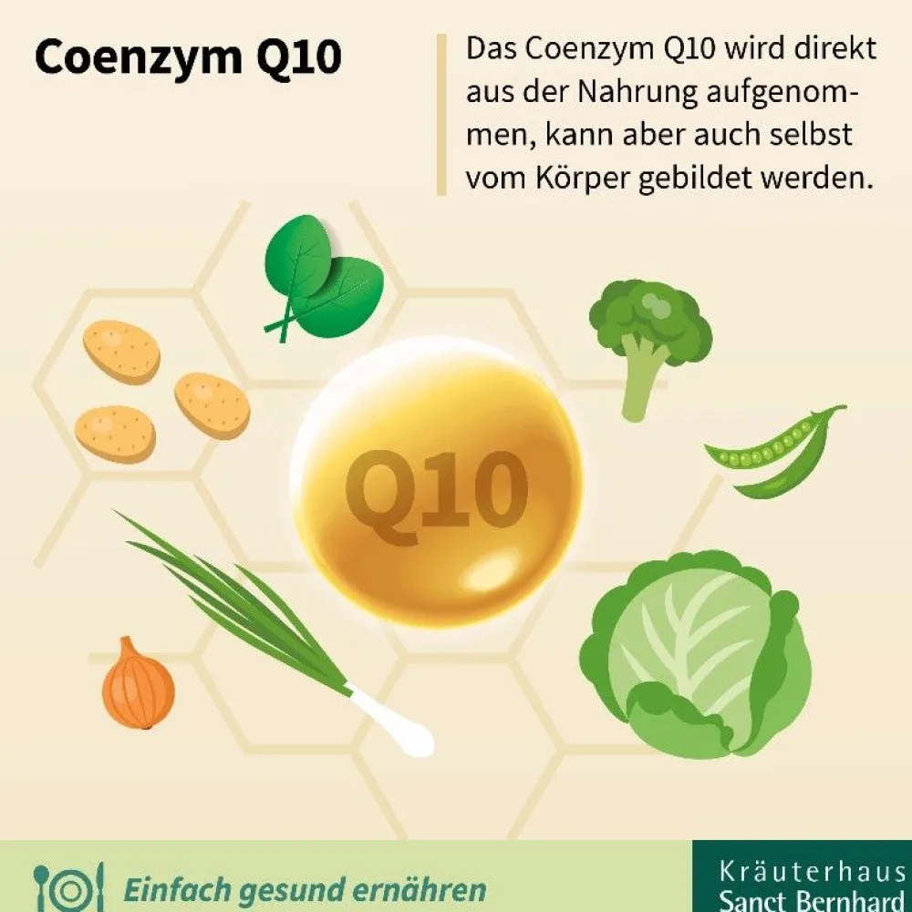 Q10-Zellfit 100 mg Trinkfläschchen>Sanct Bernhard Hot