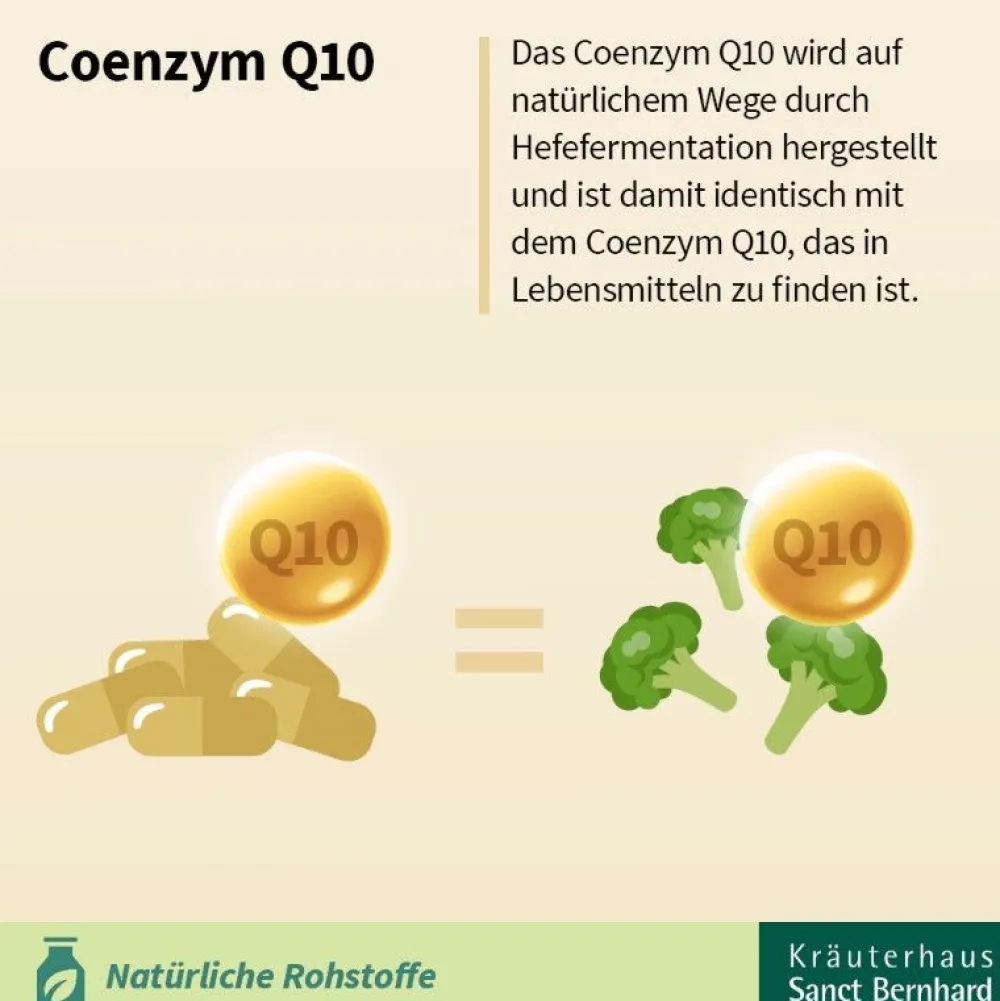 Q10-Zellfit 100 mg Trinkfläschchen>Sanct Bernhard Hot
