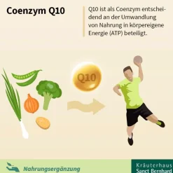 Q10-Zellfit 100 mg Trinkfläschchen><noscript><img width=