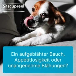 Sascupreel® ad us. vet.> Discount