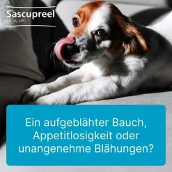 Sascupreel® ad us. vet. Injektionslösung für Tiere> Discount