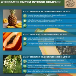 ® Enzym Intenso | Bromelain, Papain & Rutin im Enzym Komplex | magensaftresistent Kapseln><noscript><img width=