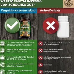 ® Enzym Intenso | Bromelain, Papain & Rutin im Enzym Komplex | magensaftresistent Kapseln><noscript><img width=