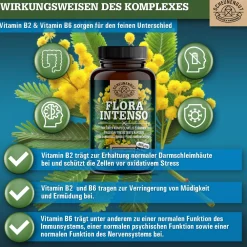 ® FLORA INTENSO | Probiotika mit 23 Bakterienstämmen | Darmkur mit Vitamin B2 & B6><noscript><img width=
