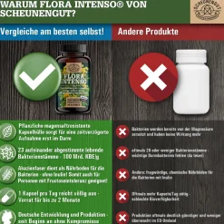 ® FLORA INTENSO | Probiotika mit 23 Bakterienstämmen | Darmkur mit Vitamin B2 & B6><noscript><img width=