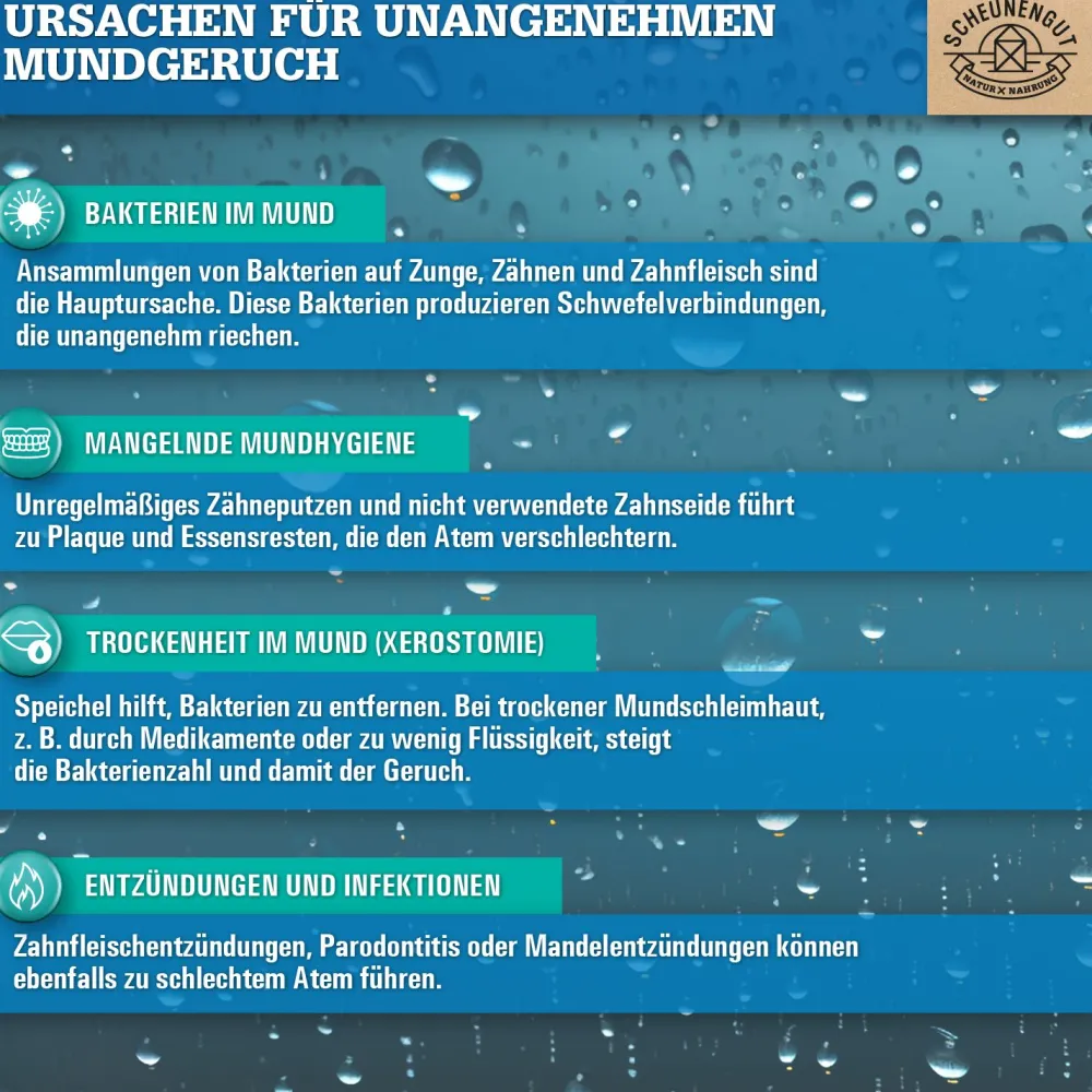 Scheunengut® Floral - Atemfrische mit L. salivarius und Vitamin D3 | Kirsch-Zitrone Geschmack|