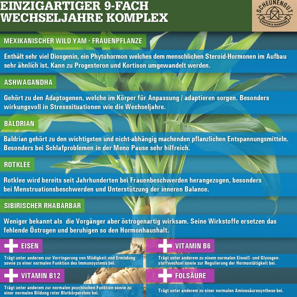 ® MENO INTENSO | Wechseljahre/Menopause Komplex mit Yamswurzel, Ashwagandha uvm.>SCHEUNENGUT Sale